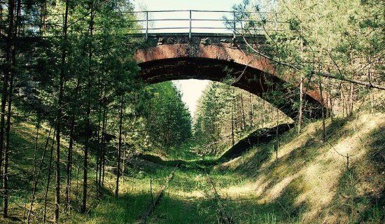 Park Narodowy Bory Tucholskie